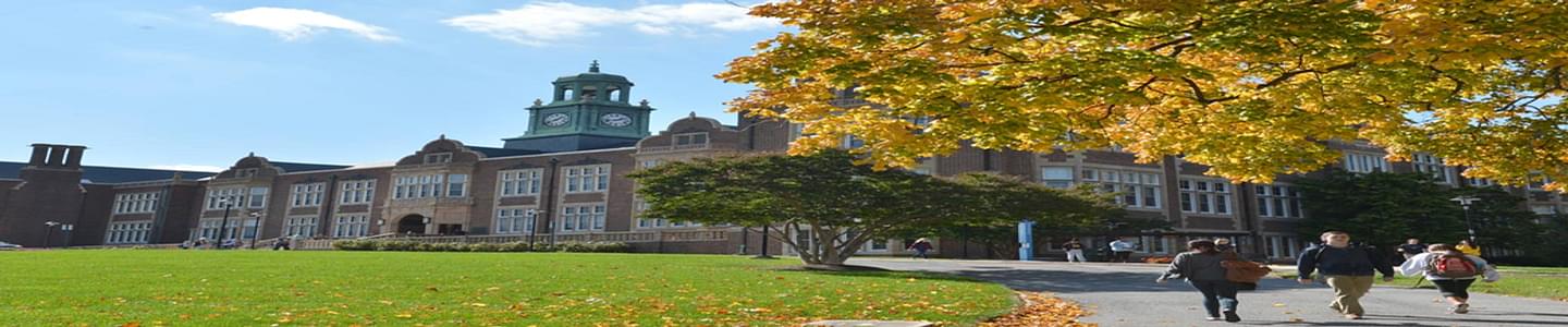Towson University banner